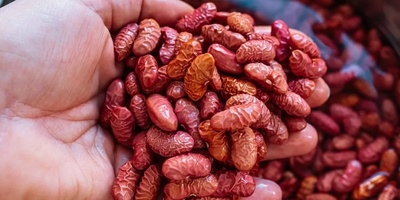 What Is the Main Reason for Soaking Beans and What Are Its Benefits? / Faster Alternative Methods for Soaking Beans