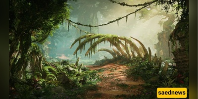 Forests That Exploded in Growth Overnight—What’s Really Happening?