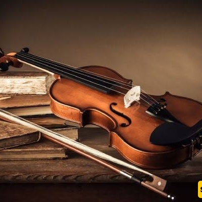 A Complete Guide to the Violin: Types, Buying Tips, and How to Play