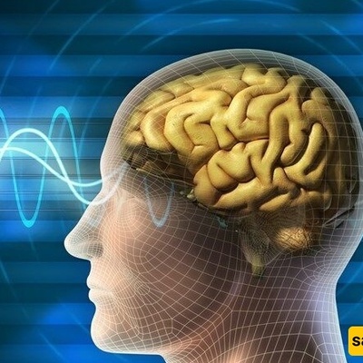 Doctors Warn About Leech Therapy: How a Misconception Can Turn Dangerous