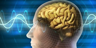 Doctors Warn About Leech Therapy: How a Misconception Can Turn Dangerous