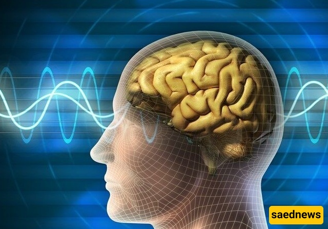 Doctors Warn About Leech Therapy: How a Misconception Can Turn Dangerous