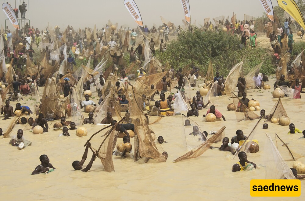 Argungu Fishing Festival: Embracing Nigeria’s Heritage and Community Spirit