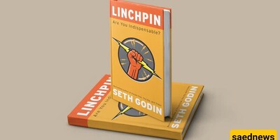 Book Recommendation: Why "Linchpin" by Seth Godin is a Must-Read for Professionals!