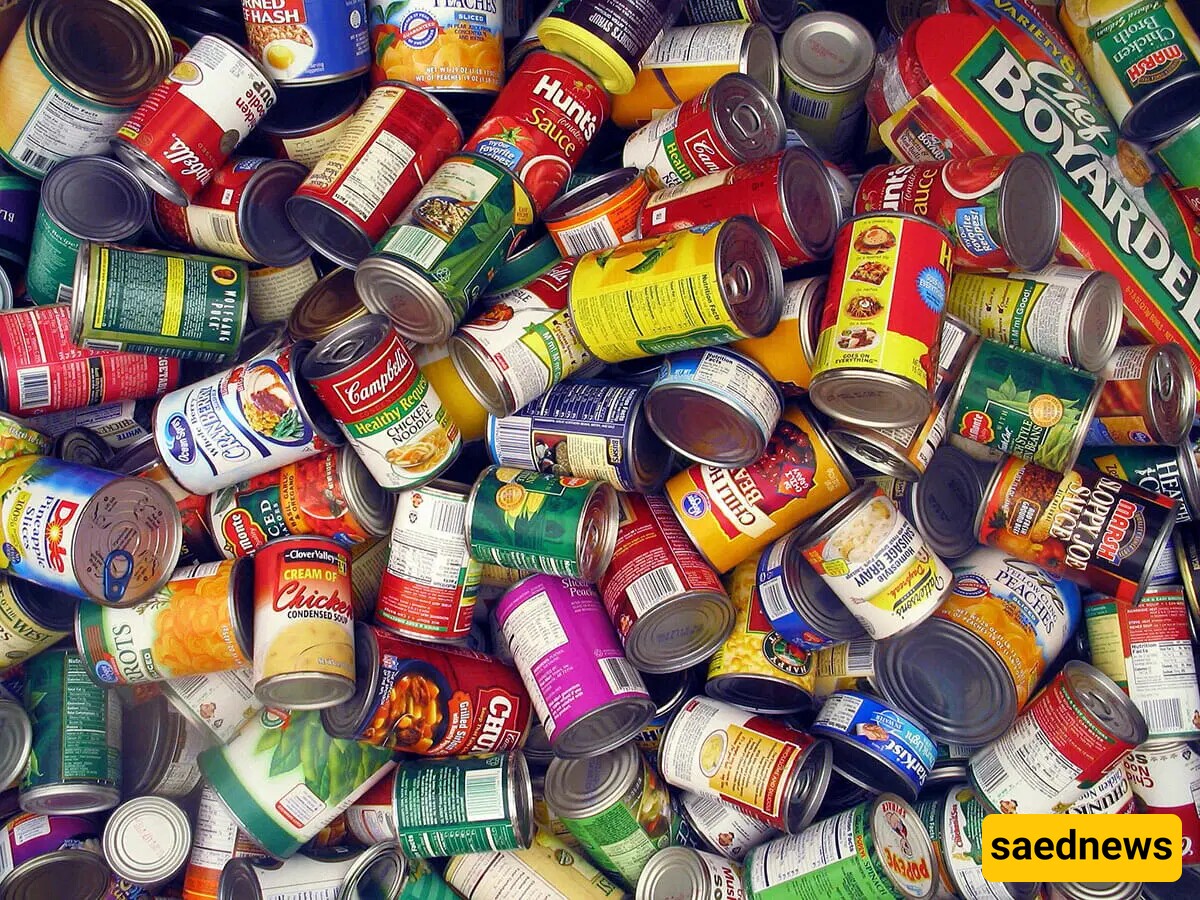 Canned food 