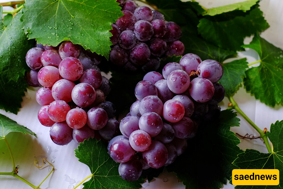 Grapes