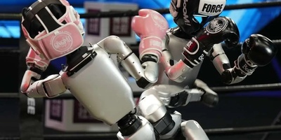 Brutal Battle of Humanoid Robots in China