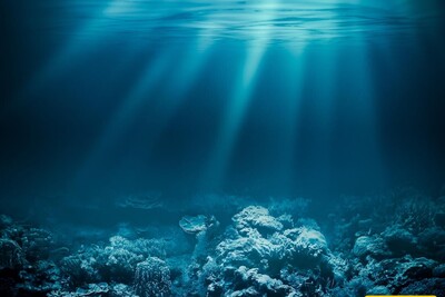 Exploring the Deep Sea: Mysteries Beneath the Waves