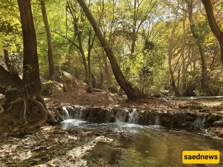 Shiraz Nature