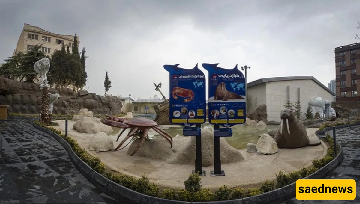 ocean park
