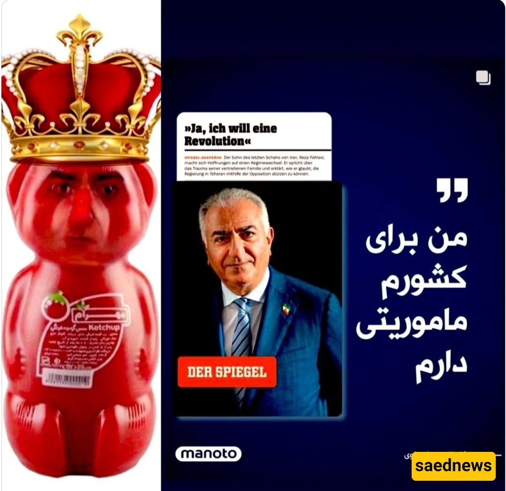 A Crown of Ashes: Reza Pahlavi’s Monarchical Mirage Falters