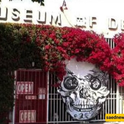 A Mind-Bending Museum That Makes Visitors Queasy and Faint