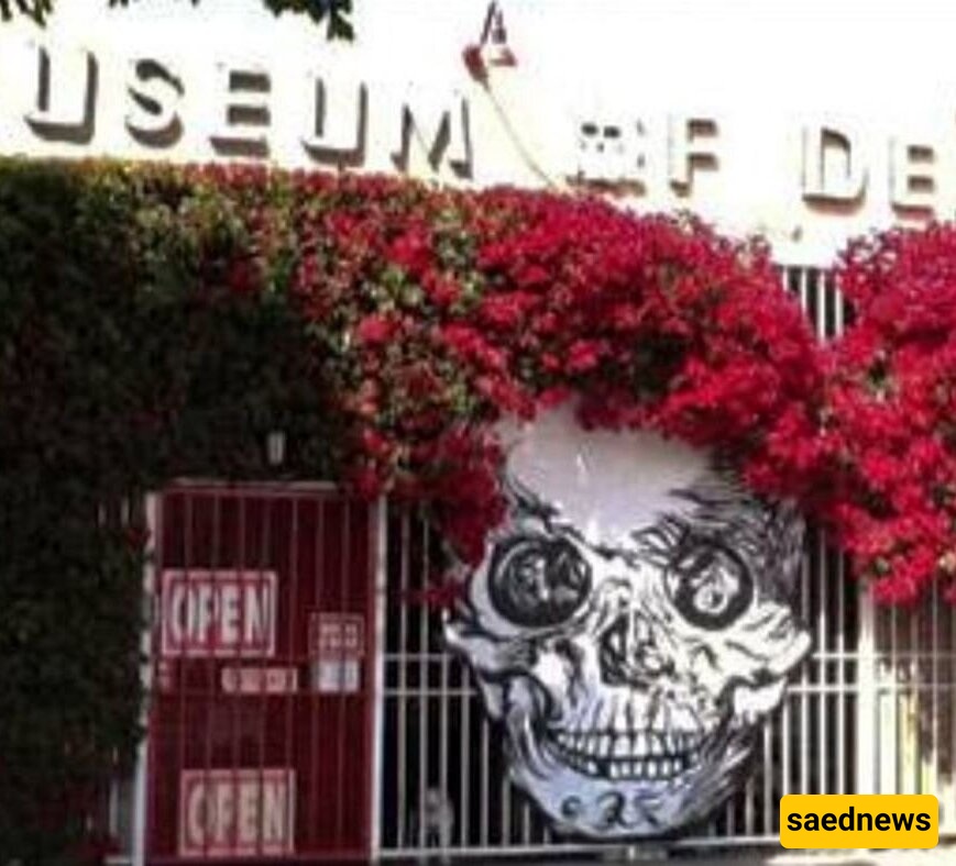 A Mind-Bending Museum That Makes Visitors Queasy and Faint