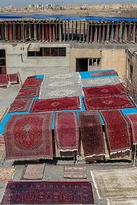 Spring Cleaning: How Can We Wash Carpets in an Apartment? The Correct Principles of Carpet Washing in a Building.