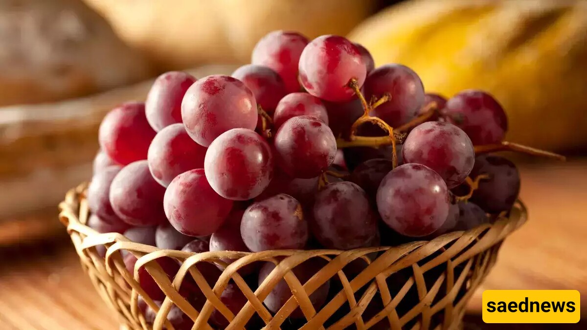 Red grapes 