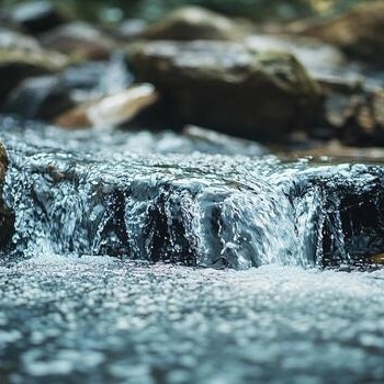Why Is Water “Wet”?