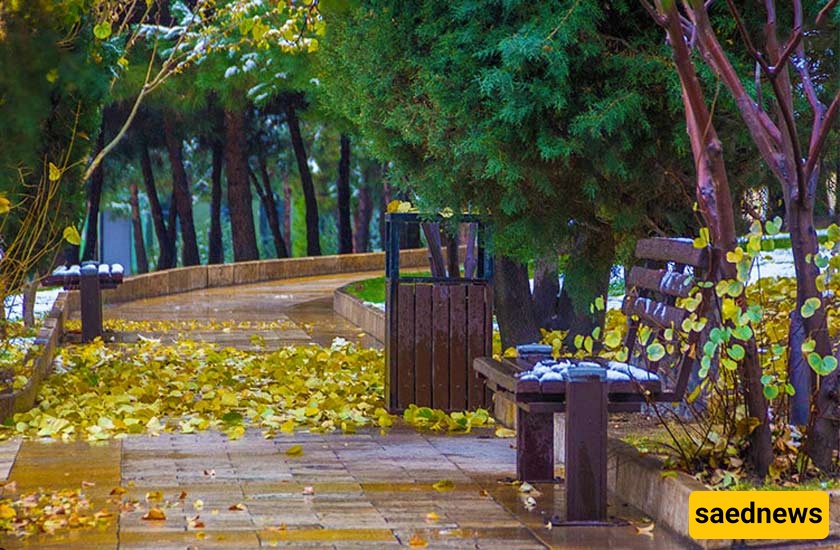  Parvaz Park