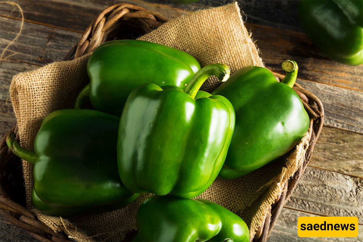 Green Bell Pepper