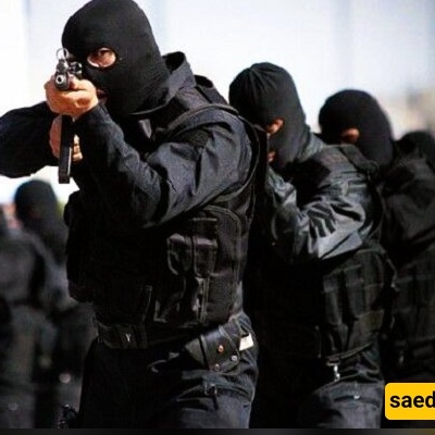 Dozens of ‘Terrorist Elements’ Neutralized Across Iran, Arms Confiscated