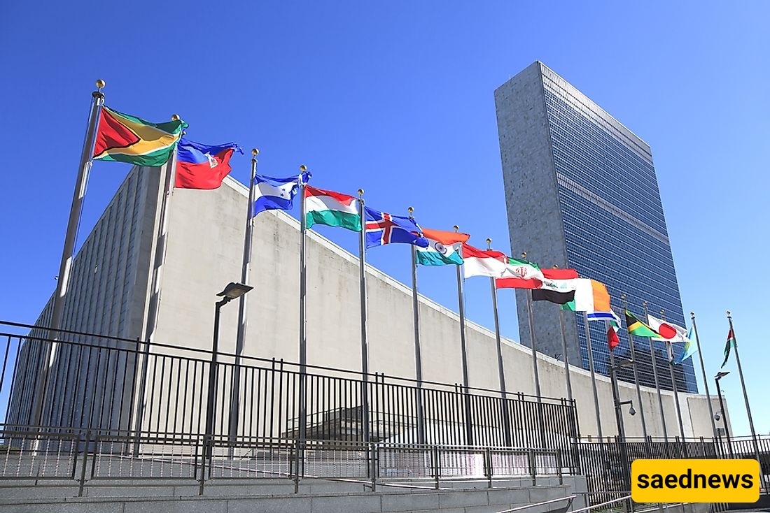 UN Breakthrough: Gaza Tragedy Officially Declared Genocide