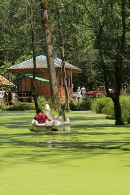An Amazing Trip to Saravan Marsh in Rasht, a Paradise You Must See in Spring + Video / Photos