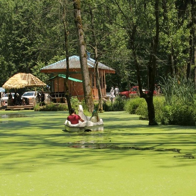 An Amazing Trip to Saravan Marsh in Rasht, a Paradise You Must See in Spring + Video / Photos