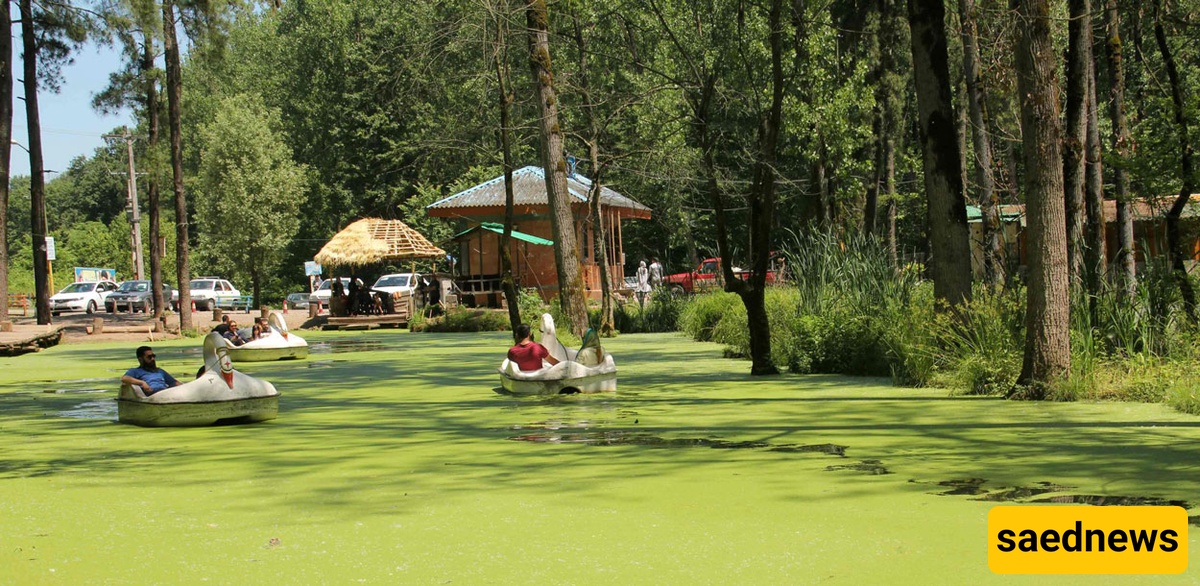An Amazing Trip to Saravan Marsh in Rasht, a Paradise You Must See in Spring + Video / Photos