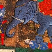 The Elephant Is The Executioner!