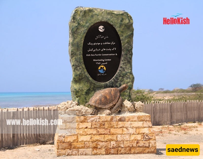 Turtle Nesting Site