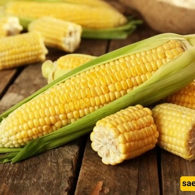 The Health Benefits of Corn: Amazing Ways It Supports Your Well-Being