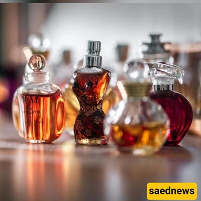 What Makes Expensive Perfumes Different from Cheap Ones?