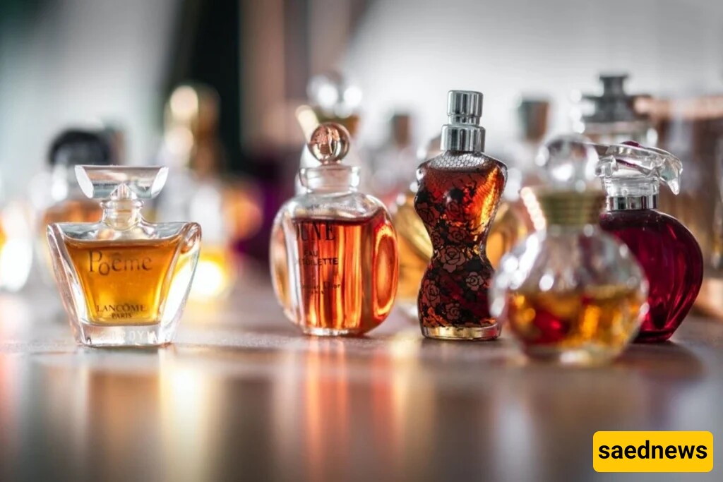 What Makes Expensive Perfumes Different from Cheap Ones?