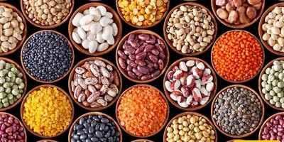 Best Methods for Degassing Beans Quickly and Effectively