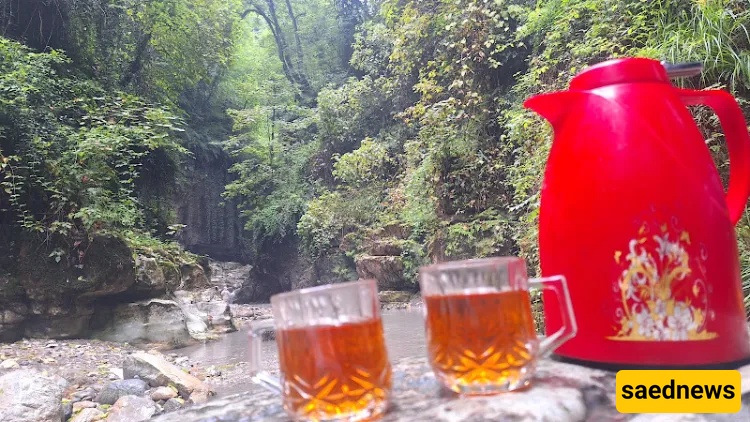 Tangeh Dar Nowshahr