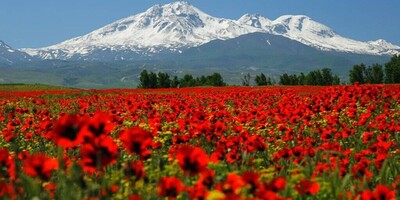 An image of the indescribable beauty of Mount Sabalan's peak and its lush, fertile slopes + video