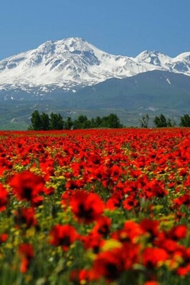 An image of the indescribable beauty of Mount Sabalan's peak and its lush, fertile slopes + video