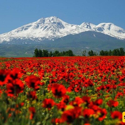 An image of the indescribable beauty of Mount Sabalan's peak and its lush, fertile slopes + video