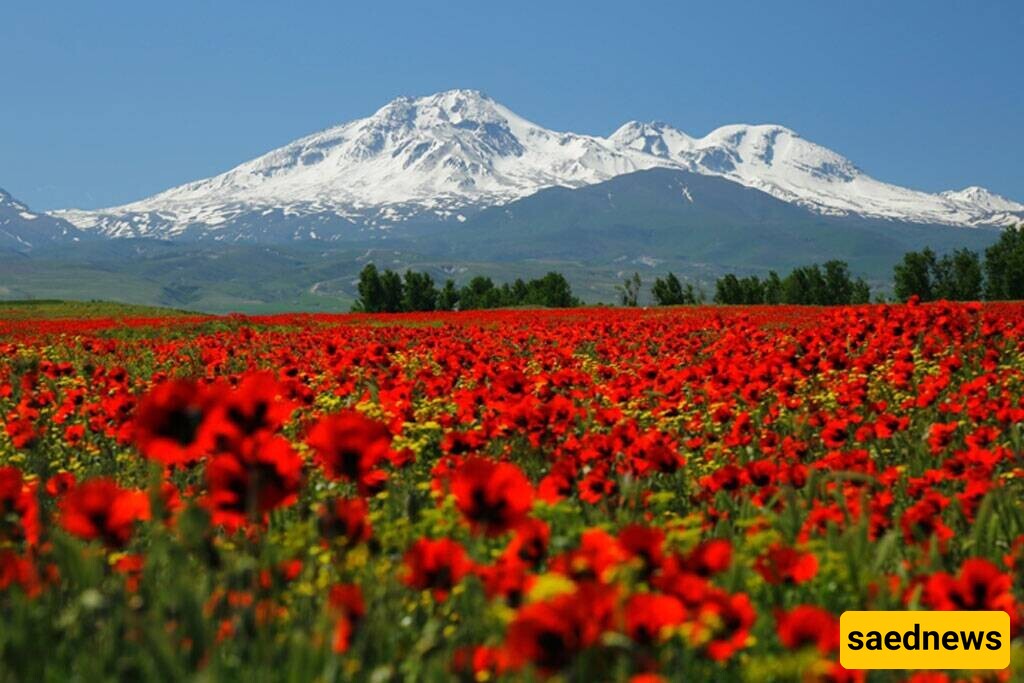 An image of the indescribable beauty of Mount Sabalan's peak and its lush, fertile slopes + video