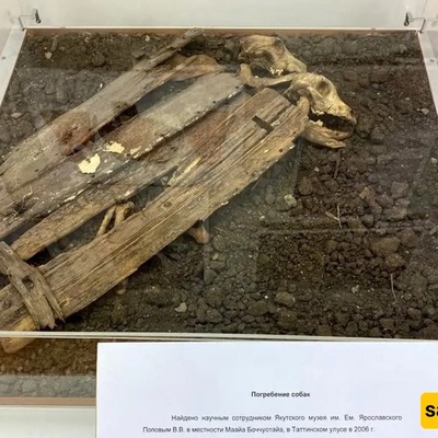 The Secret of an Ancient Ritual: Burying Sacrificial Dogs Beneath Newborn Cradles