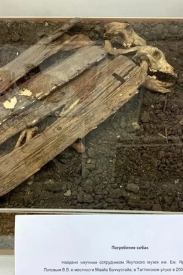 The Secret of an Ancient Ritual: Burying Sacrificial Dogs Beneath Newborn Cradles
