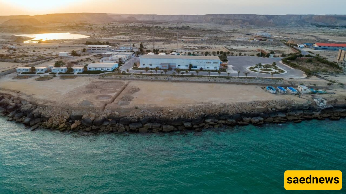 Qeshm Island Possesses Unique Potential In Developing Blue Economy: Iranian Official