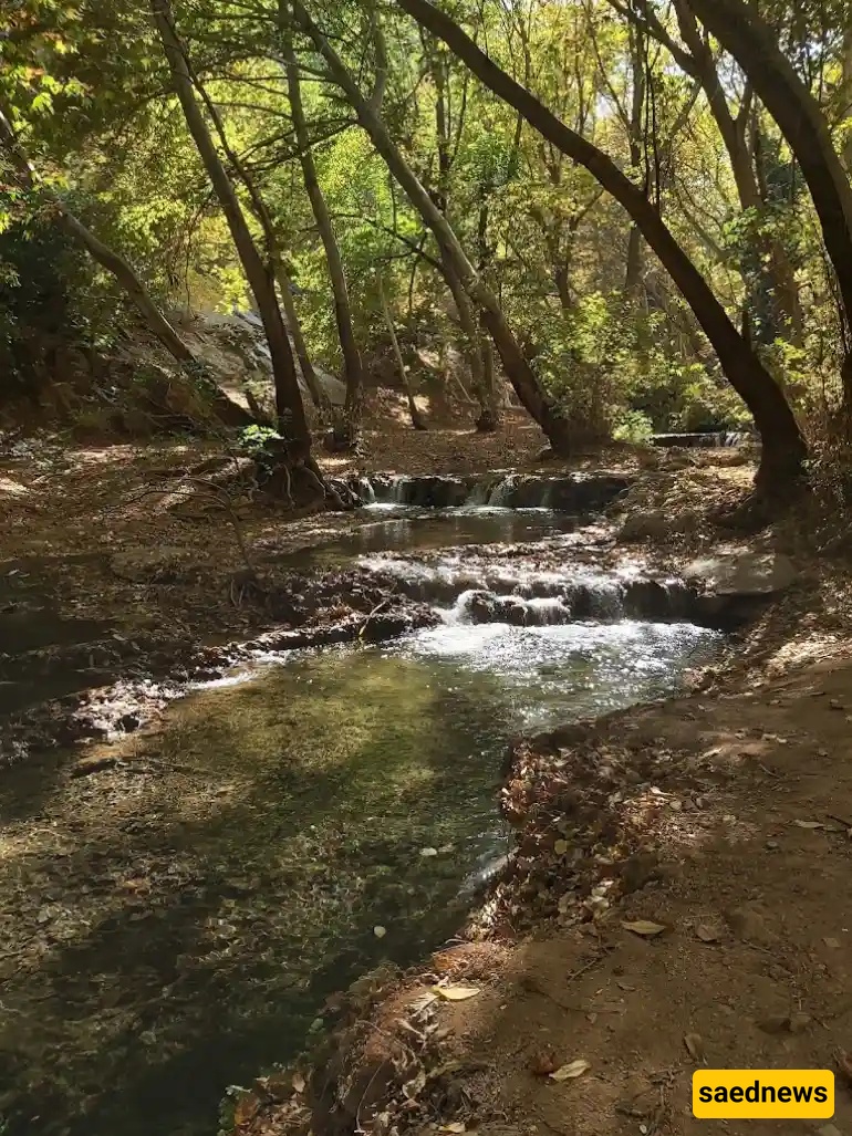 Shiraz Nature