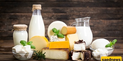 Best Foods That Support Healthy Joints Naturally