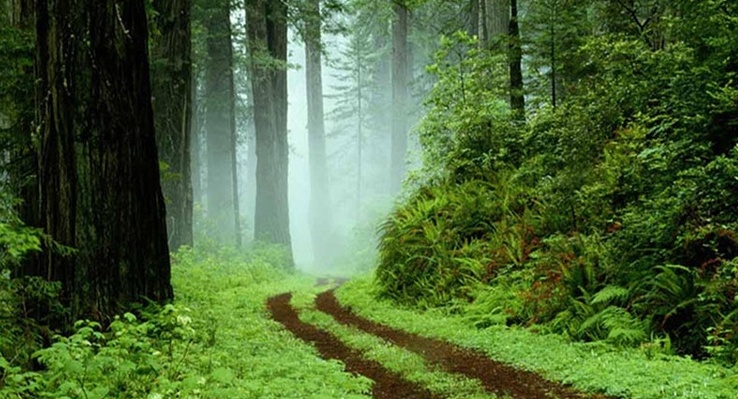 Saravan to Fuman