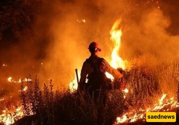 Wildfire ShutsDown Airport In Southern France