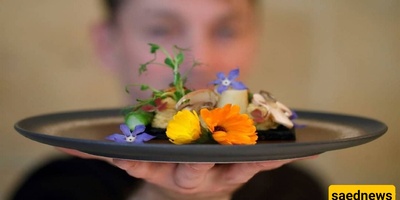 An Unusual and Nauseating Restaurant in France