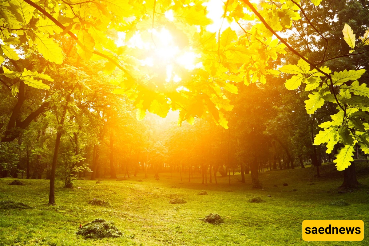 Direct Sunlight