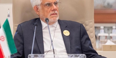 Exclusive | Iran Will Identify and Return Illegal Afghan Migrants, Says Vice President