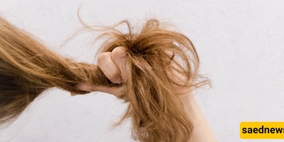Why Do Hair Ends Dry Out and Break Faster Than the Roots?