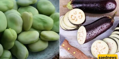 How to Make Baghali Bademjan: A Delicious and Nutritious Persian Dish